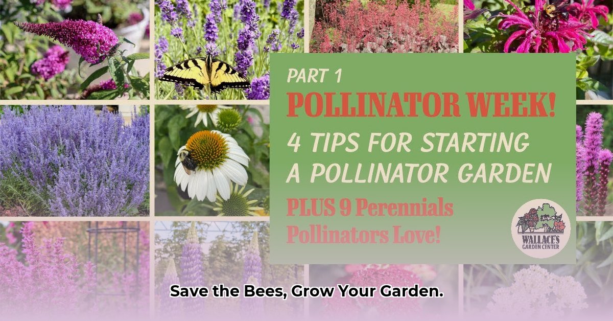 sustainable-pollinator-gardening-practices